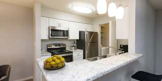 Palmetto Place Palmetto Place Gallery 20