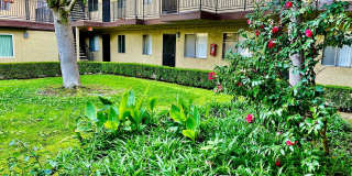 Orange Terrace Apartments Gallery 19