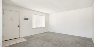 833 Cinnamon Gallery 4