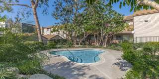Harbor Pointe Apartments Gallery 7