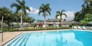 Cadia on the Loop Gallery 19