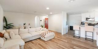 7648 Jimson Avenue Gallery 7