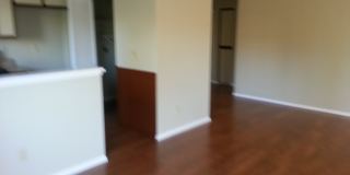 11337 Avenida De Los Lobos Gallery 9