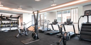 Faraday Park Gallery 38