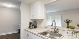 Silver Palms Gallery 15