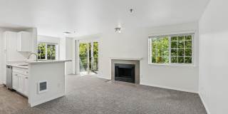 Murrayhill Park Gallery 7