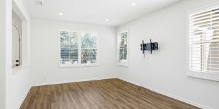 66 Tulip Gallery 4
