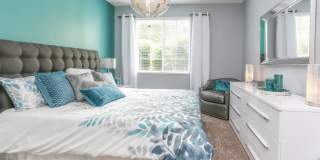 Shadow Ridge Apartments Gallery 7