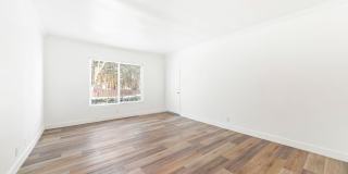 4040 Palmwood Gallery 8