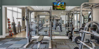 Hawthorne at Blanco Riverwalk Gallery 12