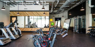 The Lola The Lola Gallery 27