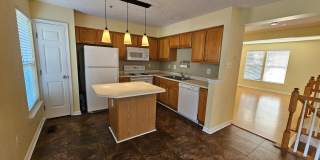 4927 BRISTLE CONE Circle Gallery 1