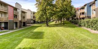 Homestead Apartments Gallery 13