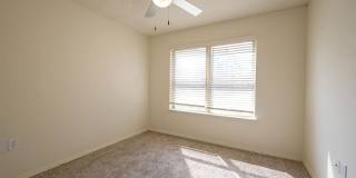 Sentinel of Conway Gallery 11