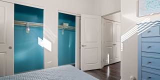 Olive Queen Creek Gallery 14