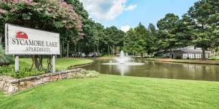 Sycamore Lake Gallery 3