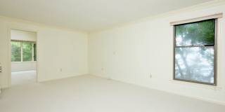 Sparkling and Spacious Gallery 25