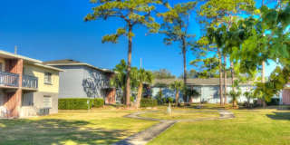 Hibiscus Place Gallery 11