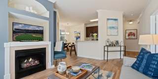 Harbor Village at the Commons Gallery 1