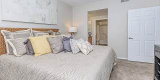 Creekside At Palmer Park Apartments Gallery 33