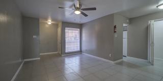 Ashford Buena Vista Gallery 8