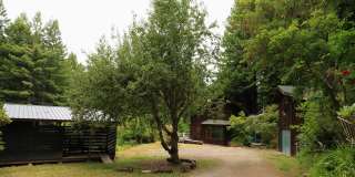 Unique Cabin in the Forest Gallery 1