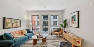 Piper Piper Gallery 4