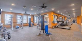 Caliber at Hyland Village Gallery 16