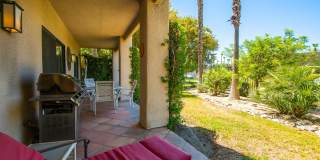 28859 Desert Princess Drive Gallery 25