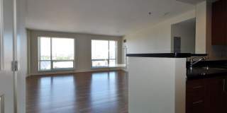 Luxury Fenway Apartment minutes walk to NEU and more!  Laundry in Unit! Pet Friendly Gallery 3