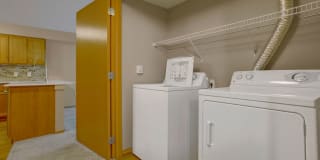 Echo Lake Gallery 16