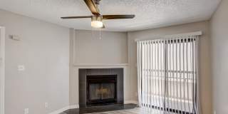 Rise on Cactus Gallery 19