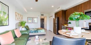 Soleste Spring Gardens Gallery 18