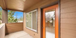 Zachary Park Gallery 11