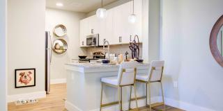 Sendero Trace Gallery 2