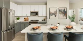 Olympus Chandler at the Park Gallery 1