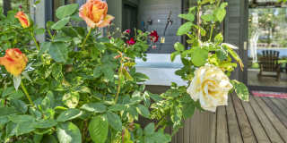 2625 Spinnaker Drive 2625 Spinnaker Drive Gallery 69