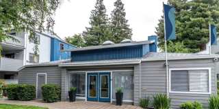 Austin Commons Gallery 2