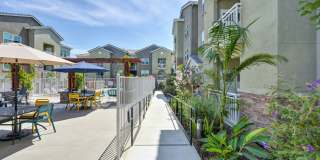 Vela Apartments Gallery 97