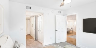 Palm Trace Landings Gallery 54