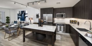 Olympus Harbour Island Gallery 18