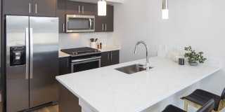 The Gossamer Gallery 3