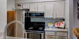 University Green Gallery 6