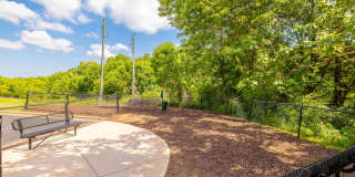 Ashbury Square Gallery 18