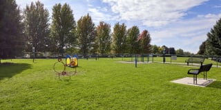 Whimsical Pig Gallery 14