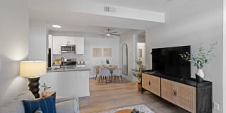 Terra at Portola Park Gallery 5