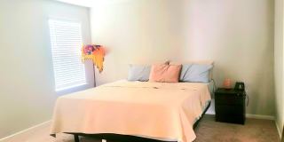 7882 Island Fox Rd, Jacksonville, FL 32222 Gallery 10