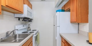 Autumn Ridge Gallery 16