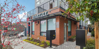 The Hartley Gallery 1