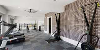 Cortland at Stonebriar Gallery 17